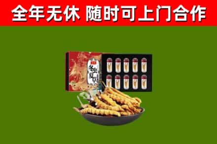 澄迈回收冬虫夏草价格